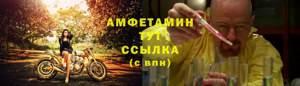 амф Богданович