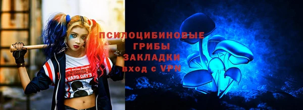 амф Богданович