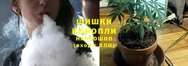амф Богданович