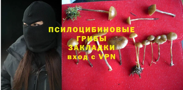 амф Богданович