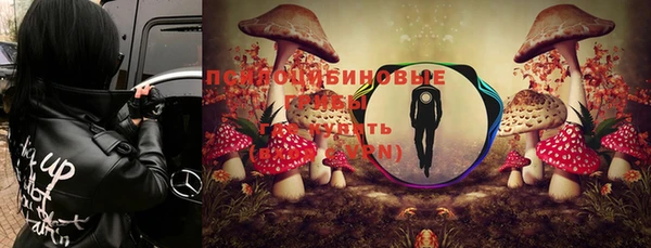 apvp Богородицк