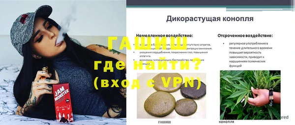 амф Богданович