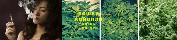 амф Богданович