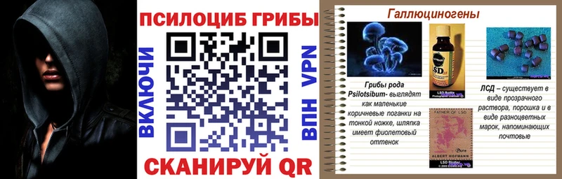Псилоцибиновые грибы Magic Shrooms  дарк нет состав  Михайлов 